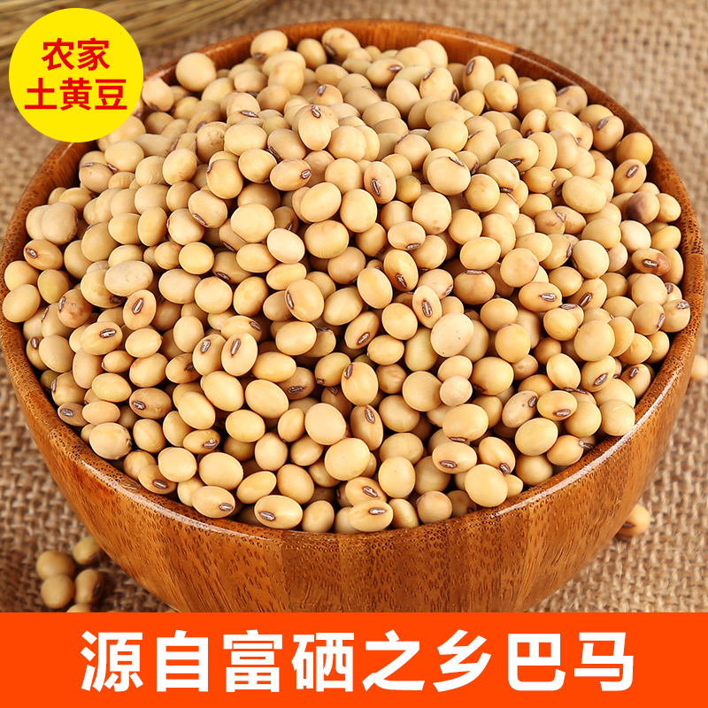 巴马农家自种土黄豆五谷杂粮