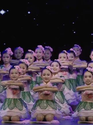 儿童小荷风采蓬蓬裙演出服我为祖国画朵花表演服纱裙小花朵演出服