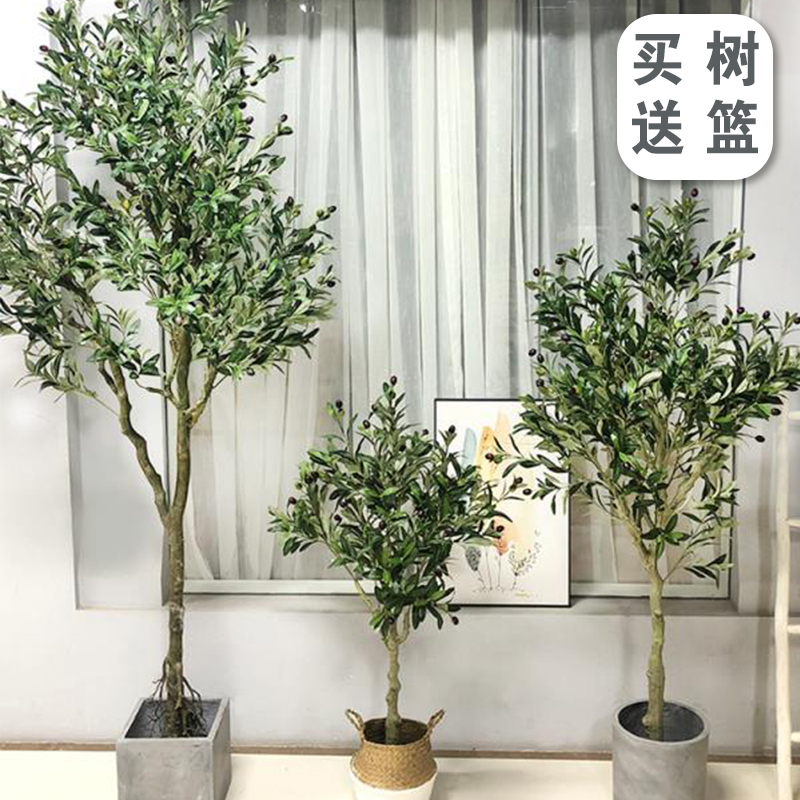 Northern Europe Popularity Net Red simulation Green plant Olive tree Indoor home Market Showcase large to ground Potted plant Decorationin the Home accessories , Vase/Flower/Artificial flowers/Imitation jewelry , Bonsai plant simulation  category - from Buy2taobao.com to provide professional Taobao agent buy service
