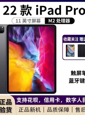 Apple/苹果 11 英寸 iPad Pro (第四代)平板电脑2022款M2处理器