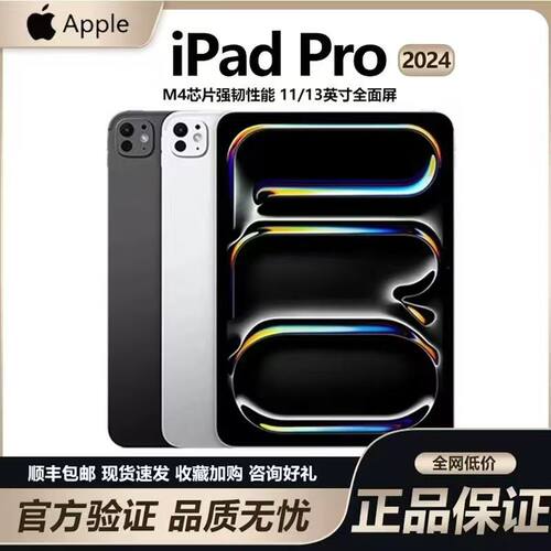Apple/苹果 13 英寸 iPad Pro - 标准玻璃面板