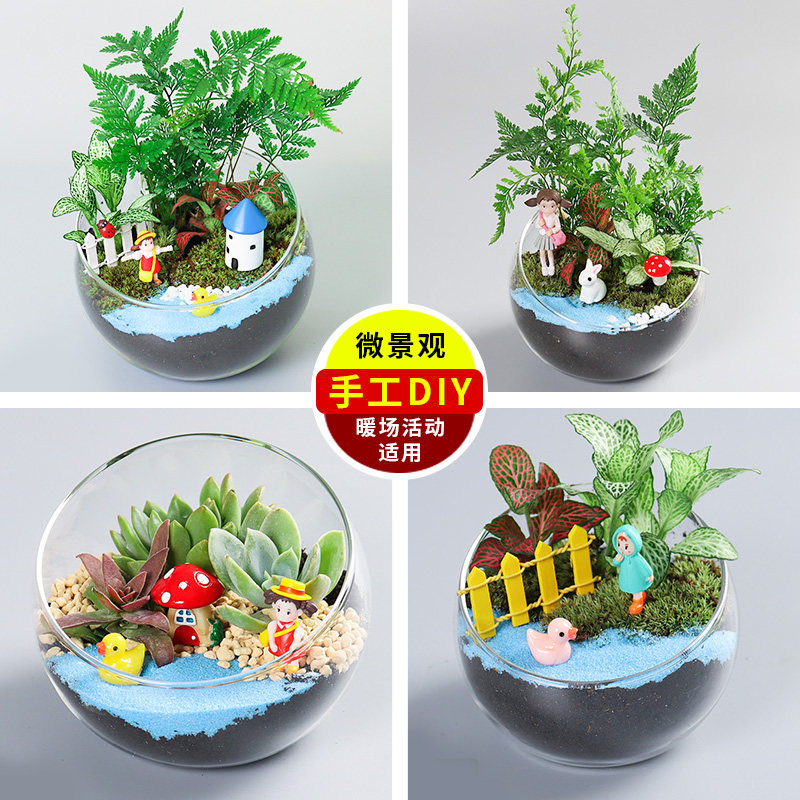 苔藓多肉微景观DIY材料包 创意切口生态玻璃瓶摆件礼品物套装大口