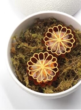 镂空蕾丝硅胶烘焙耐高温模具分子料理法餐摆盘装饰点缀