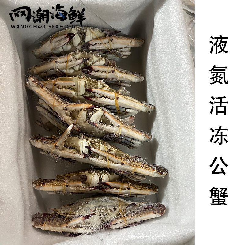 舟山海鲜液氮新鲜冷冻东海梭子蟹