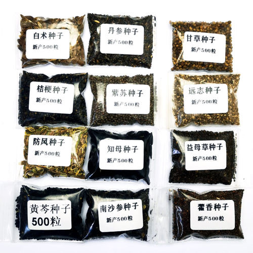 黄芪苦参射干知母中药材种子