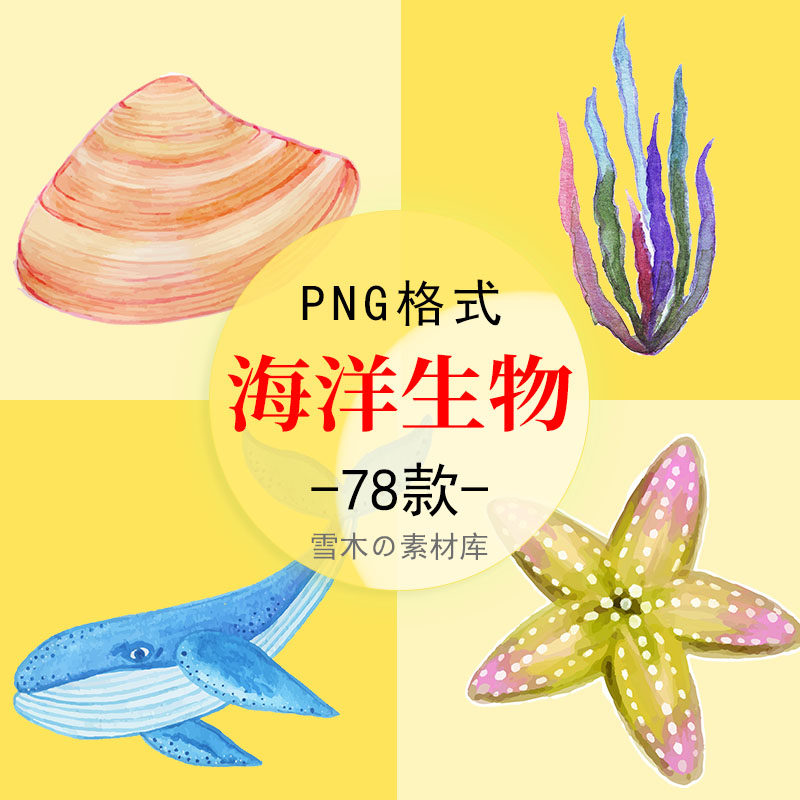 手绘水彩海洋生物海豚鲸鱼珊瑚海星贝壳海龟水母螃蟹海草png素材