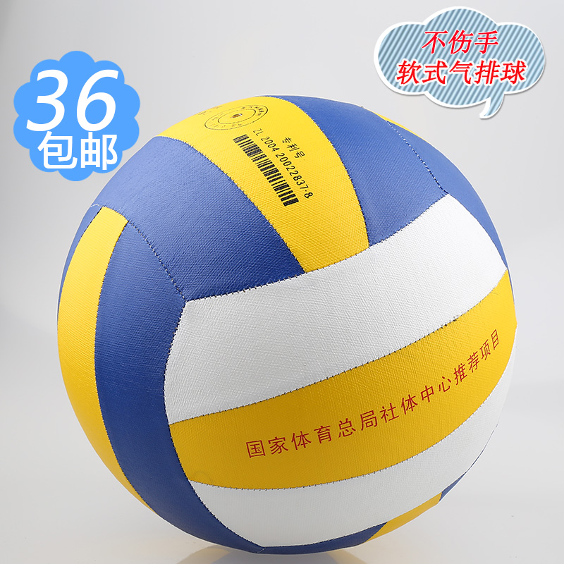 Ballon de volley-ball - Ref 2010584 Image 4