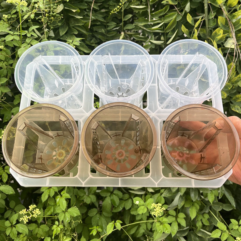 蝴蝶兰专用6格托架茶色高透观根盆组合拖架热值月季海棠水苔花盆图片