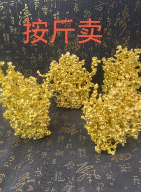 仿珊瑚树狗头金吸金石金珊瑚发财树矿石原石送礼补金摆件