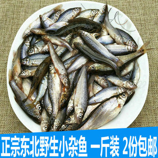 正宗东北河鱼小杂鱼麦穗老头鱼冷水鱼鲜活速冻1斤装包邮特产