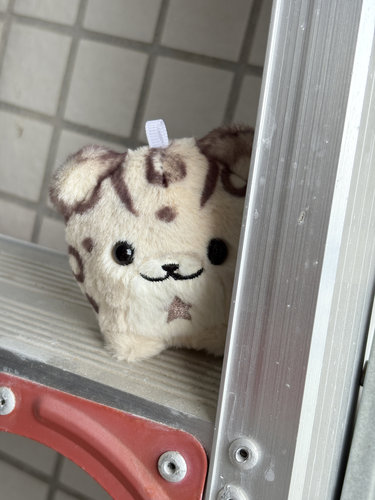 【现货】新世界狂欢伊得小豹球6cm周边毛绒捏捏乐cosplay道具