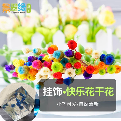 景翠缘 快乐 花原 干燥 小花 苞花 骨朵 艺术 DIY 干花 快乐 花 水晶滴胶 水晶滴胶 水晶滴胶