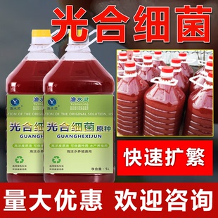 光合细菌水产养殖专用鱼塘降低PH值氨氮亚硝酸盐光合菌菌种培养基