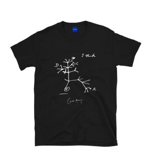 达尔文进化论生命之树纯棉短袖T恤男女同款欧美风复古百搭基础款