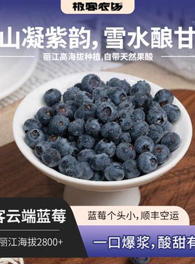极客云端蓝莓丨云南高山蓝莓 酸甜适中 籽感微弱 富含花青素 SF