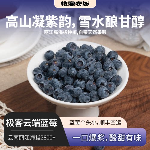 极客云端蓝莓丨云南高山蓝莓 酸甜适中 籽感微弱 富含花青素 SF