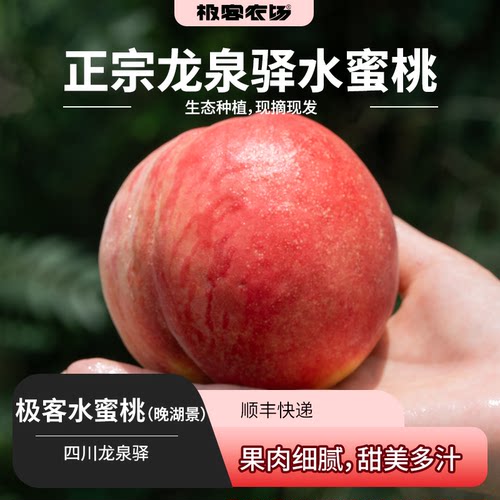 极客水蜜桃（晚湖景）丨核心产区山上果 香甜柔嫩多汁 脆甜蜜糖心
