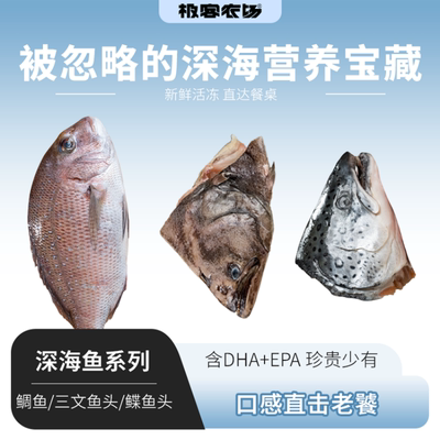 深海鲷鱼/三文鱼头/鲽鱼头丨活鱼鲜冻 红烧/煲汤/香煎等 顺丰空运