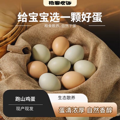跑山鸡蛋 散养在山林里的鸡吃粮食谷物紫苏等长大的高品质鸡蛋