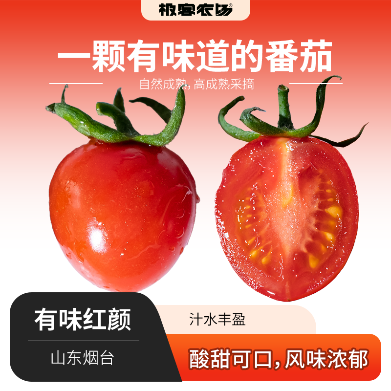 有味红颜小番茄极客农场