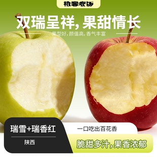瑞雪微果酸脆甜多汁 产地陕西 瑞香红浓香脆甜 瑞香红苹果 瑞雪