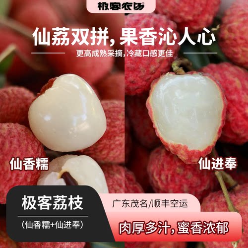 极客荔枝丨仙进奉 清雅细腻 层次丰富 仙香糯 高甜醇厚 肉厚核小