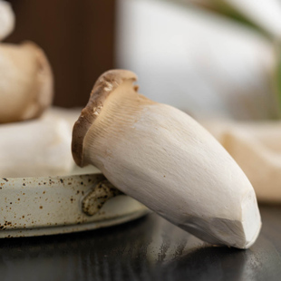 极客农场|有机杏鲍菇 新鲜杏鲍菇 菌菇蔬菜 鸡腿菇蘑菇鲜菇食用菌