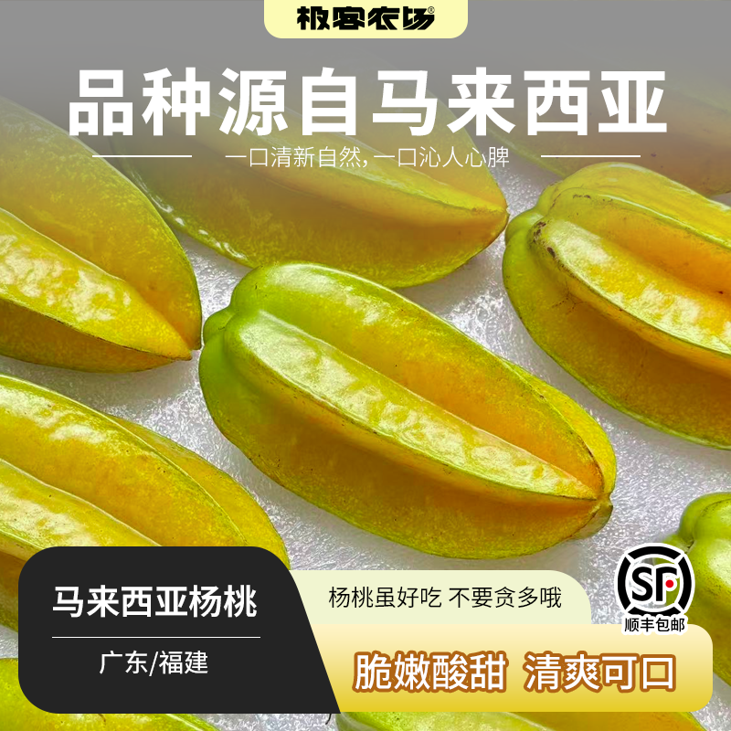 马来西亚杨桃丨品种源自马来西亚 产地广东 八成熟采摘 脆嫩酸甜,水产肉类/新鲜蔬果/熟食,杨桃,淘宝优惠券,粉丝福利购,淘宝优惠卷
