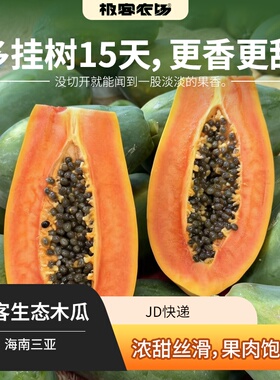 极客生态木瓜 | 晚下树滋味足 香甜丝滑细腻 常温变黄后冷藏储存