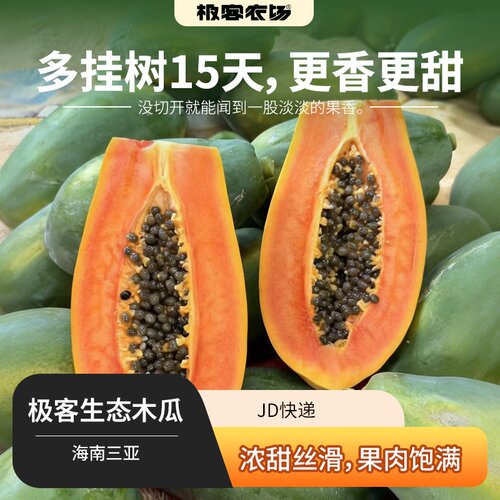 极客生态木瓜 | 晚下树滋味足 香甜丝滑细腻 常温变黄后冷藏储存