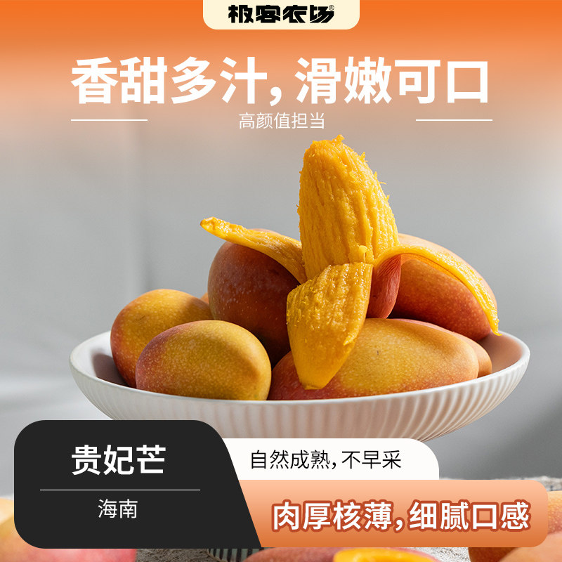 海南树熟贵妃芒丨肉厚核小 甜香浓郁 纤维少 果肉细腻嫩滑 JD快递