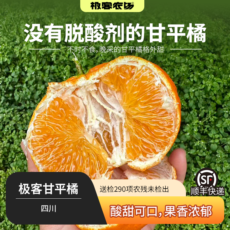 极客甘平橘丨果肉饱满 清甜一丝酸 大果粒更过瘾 多汁爽口 SF,水产肉类/新鲜蔬果/熟食,桔子,淘宝优惠券,粉丝福利购,淘宝优惠卷