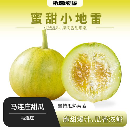 极客甜瓜 | 马连庄小甜瓜 鲜甜多汁 脆嫩爽口 香气浓郁 去皮更佳