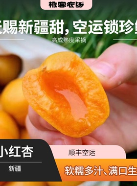 新疆小红杏 | 圆润如珠 黄中带红色泽鲜亮 小而饱满 蜜糖甜 空运