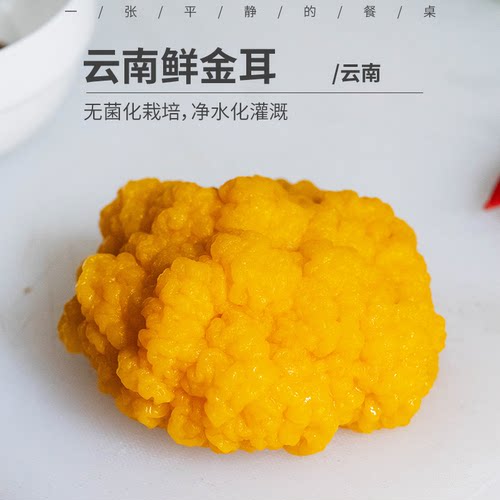 云南鲜金耳丨“菌中燕窝”  生食Q弹煲汤出胶 无菌栽培 JD快递