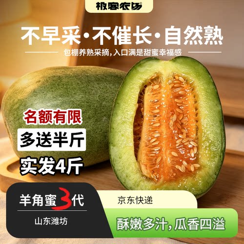 三代羊角蜜丨 高成熟度采摘 果肉厚实 清新甜蜜 3代果型矮胖小