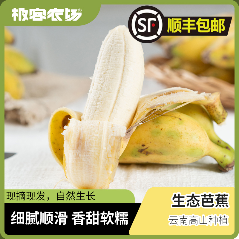 极客农场生态芭蕉当季新鲜水果云南生态种植高山芭蕉软糯甜小米蕉