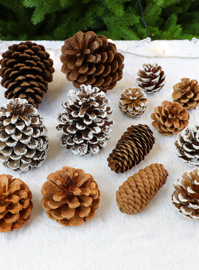 圣诞树节装饰品松果小挂件3-12cm天然鱼鳞松果子拍摄道具摆件松塔