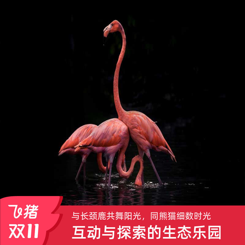 宁波野生动物园门票
