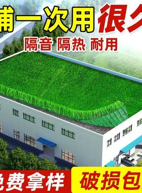 仿真草坪地毯阳光房玻璃屋顶专用塑料户外人工人造装饰绿色假草皮