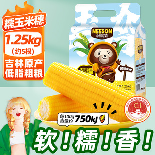 小熊尼森黄糯玉米1.25kg约6根软糯香真空吉林原产低脂早餐粗粮B