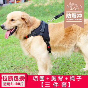 边牧加粗幼犬中型宠物狗三件套柯基胸背带可调节狗狗牵引绳金毛