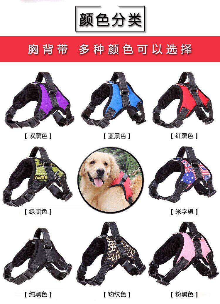 法牛英牛秋田犬宠物狗狗链子57狗狗牵引绳胸带背带项圈遛狗绳