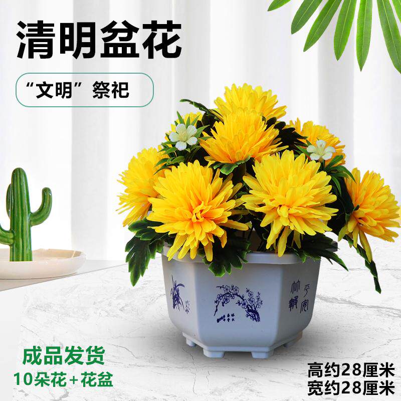 清明节手提花篮菊花祭祀用品墓前追悼/奠仪用花