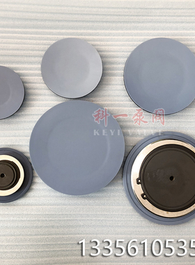 意大利赛高SEKO计量泵配件进口加药泵隔膜片MS1B108/MS1C138/165