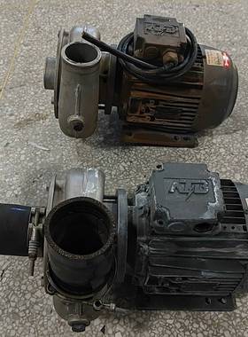 询价购-Perfecta P65B SS H/A-106清洗循环泵