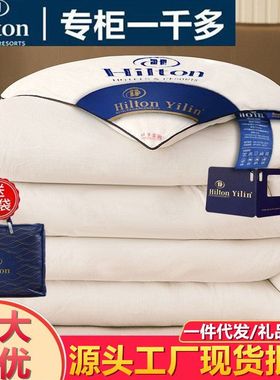 down comforter thick quilt hotel gift跨境加厚桑蚕丝希尔顿被