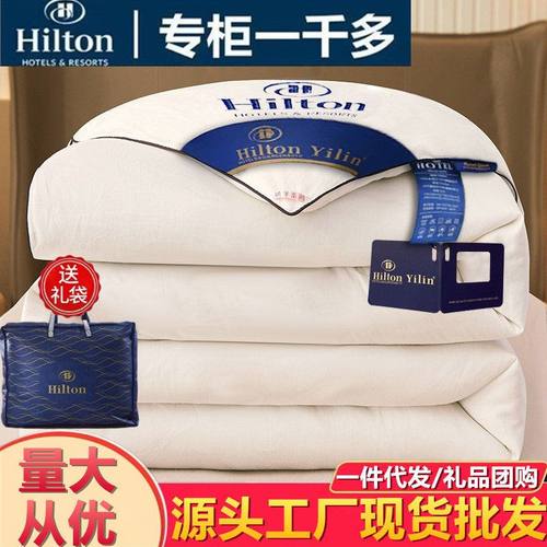 downcomforterthickquilt