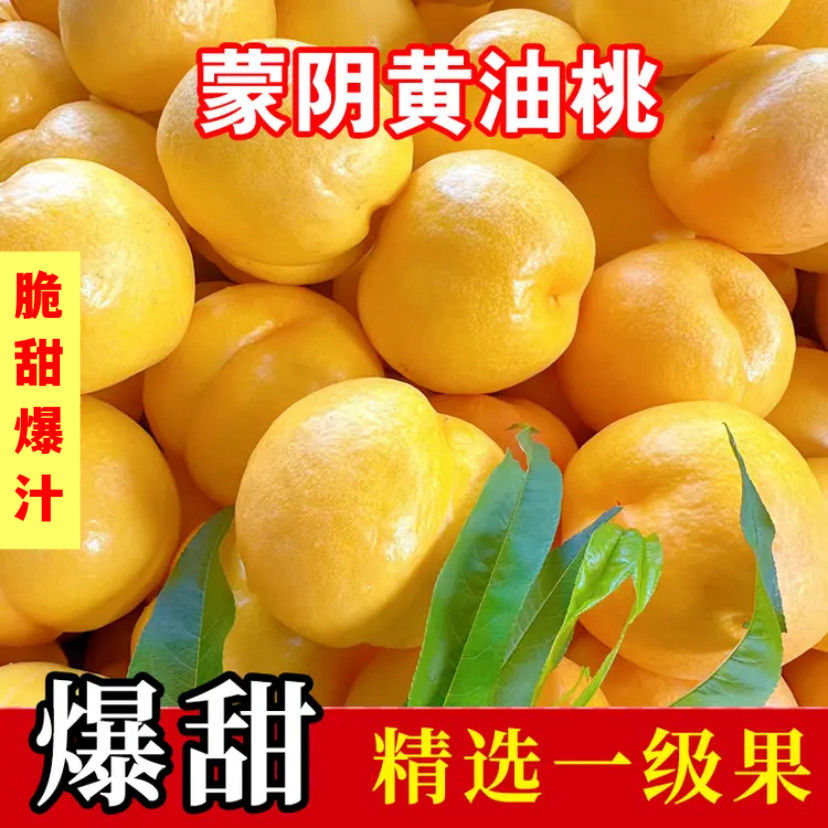 黄油桃新鲜水果山东蒙阴黄金油桃