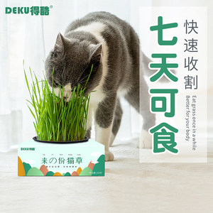 得酷土壤水培小麦种籽去毛球猫草